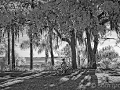 Jekyll Island Bike Ride