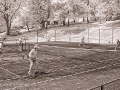 Tennis Anyone