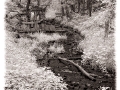 Mountain Stream