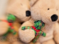 sg_20090131-044_blog