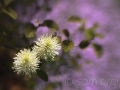 sg_20110430-0061_edit_blog