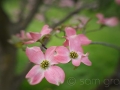 sg_20110502-0136_edit_blog