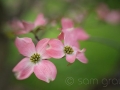 sg_20110502-0137_edit_blog