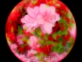 sg_20110510-0071_edit_blog