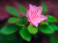 sg_20110513-0092_edit_blog