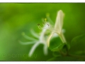 sg_20120605-0338_edit_blog