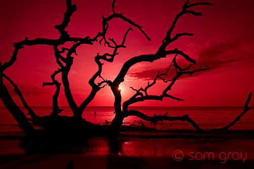 Red Sky on Driftwood Beach - D700, 24-70mm