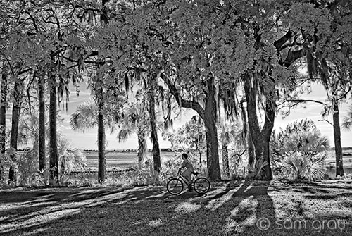 Sunset Bike Ride - D200 Converted to IR