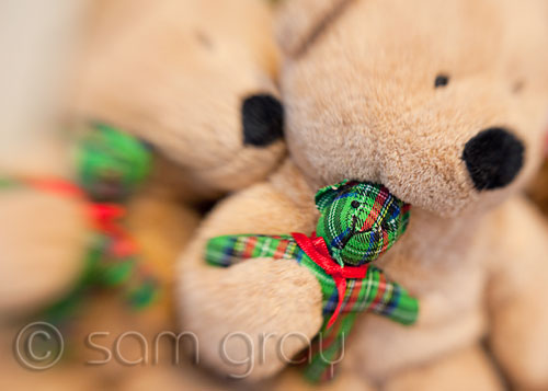 Holiday Bears - Lensbaby Composer