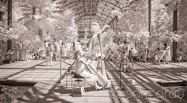 Harp_Music_At_Longwood Harp Music at Longwood