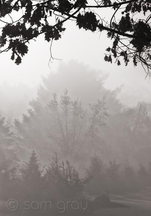 Foggy Morning Neighborhood Foggy Morning in the Neighborhood