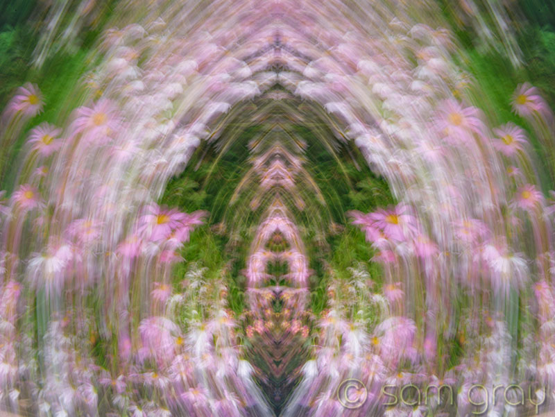 Floral Abstract 2 Floral Abstract 2