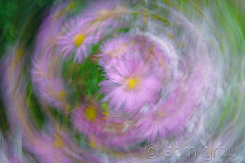 Floral Abstract 1 Floral Abstract 1