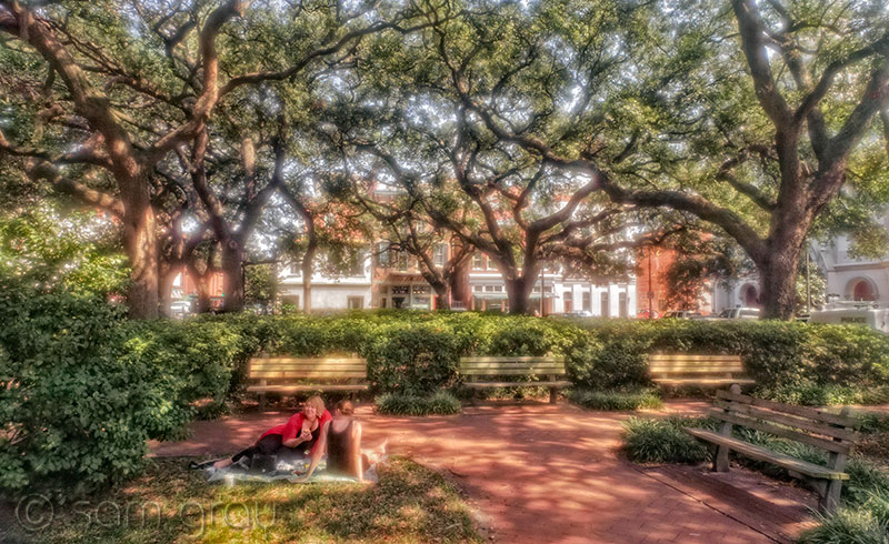 Savannah Afternoon Savannah Afternoon